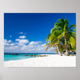 Posters - Tropische zon