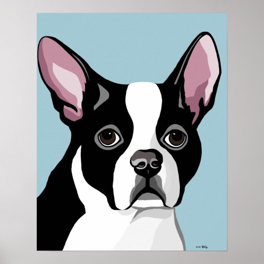 Posters van Boston Terrier (Voorkant)