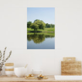 Posters van wilde bomen weiden. (Keuken)