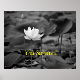 Posters voor de bescherming tegen huiselijk geweld