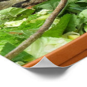 Posters voor trekhagedis (Hoek)