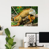 Posters voor trekhagedis (Thuiskantoor)