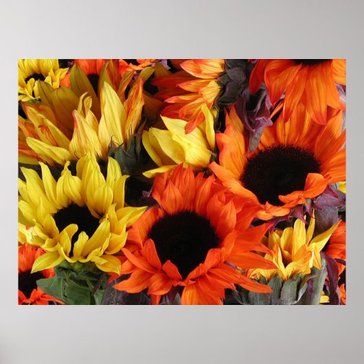 Posters, ZONNEN # 1 Poster (Voorkant)