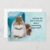 POSTKAART - ADVERTISING - CUTE SQUIRREL (Voorkant / Achterkant)
