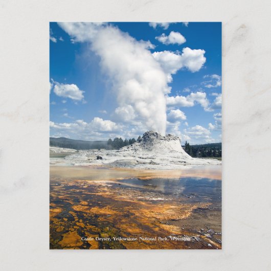 Postkaart - Castle Geyser (Voorkant)