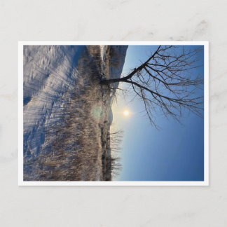 Postkaart, formaat: standaard Briefkaart, papier:  Briefkaart