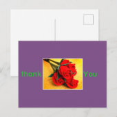 Postkaart, formaat: standaard Briefkaart, papier: Briefkaart (Voorkant / Achterkant)