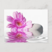 Postkaart van Zénitude (Voorkant)