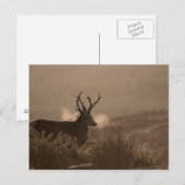 Postkaart voor tags (Voorkant / Achterkant)