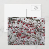 Postkaarten (Voorkant / Achterkant)