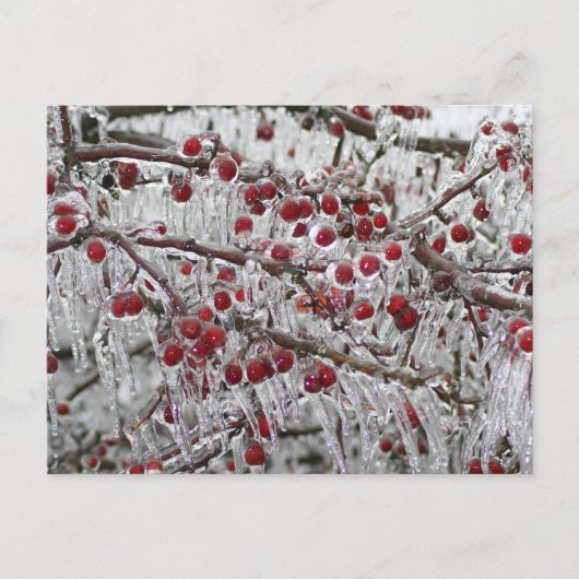 Postkaarten (Voorkant)