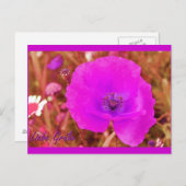 Postkarte Briefkaart (Voorkant / Achterkant)