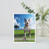 Postkarte Bullanger Briefkaart (Staand voorkant)