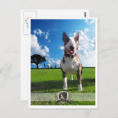 Postkarte Bullanger Briefkaart (Voorkant / Achterkant)