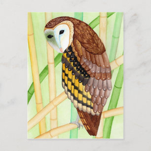 Postkarte Eule Briefkaart