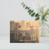 Postkarte "Irish Terrier" Briefkaart (Staand voorkant)