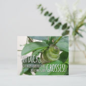 Postkarte mit Raupe & Humor  Briefkaart (Staand voorkant)