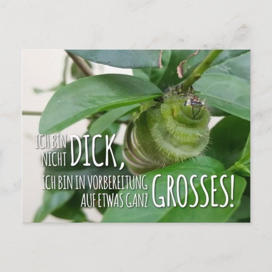 Postkarte mit Raupe & Humor  Briefkaart (Voorkant)