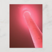 Postkarte - Pinkshot Briefkaart (Voorkant)