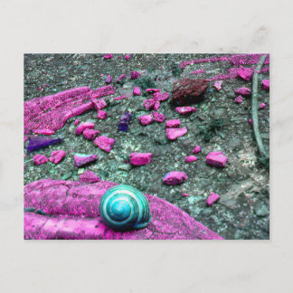 Postkarte "SnailShell" Briefkaart