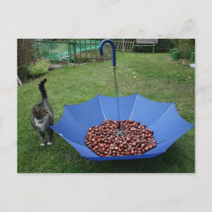 Postkarte - wer bist du denn? briefkaart