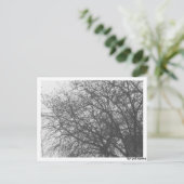 Postkarte - Winterbaum Briefkaart (Staand voorkant)