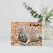 Postkruising Confident Kangaroo Briefkaart (Staand voorkant)