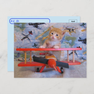 Postkruising = Dolce the Cat's Airplane Briefkaart