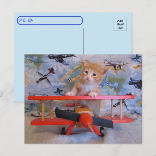 Postkruising = Dolce the Cat's Airplane Briefkaart (Voorkant / Achterkant)