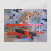 Postkruising = Dolce the Cat's Airplane Briefkaart (Voorkant)