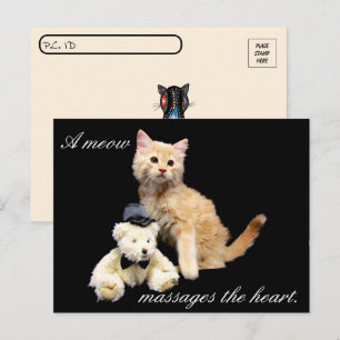 Postkruising - Kat Pic - Sundrop en Teddy Bear Briefkaart