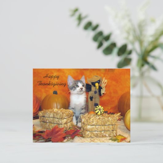 Postkruising Porkchop Cat / Kitten Briefkaart (Staand voorkant)