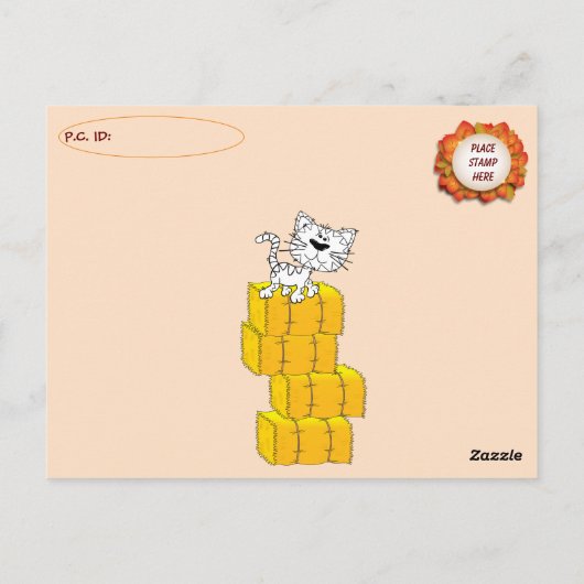 Postkruising Porkchop Cat / Kitten Briefkaart (Achterkant)