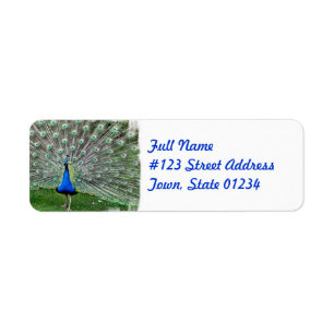 Postlabel Peacock Plume Etiket