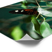 Postman 184 Print (Hoek)