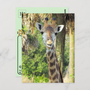 Postovergangen - Gekke Briefkaart van de Giraffe