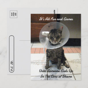 Postovertocht - Oliver The Cats Cone of Shame Briefkaart