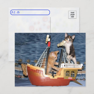 Postovertocht - Pirate Kittens - Cat / Kitten Briefkaart