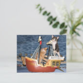 Postovertocht - Pirate Kittens - Cat / Kitten Briefkaart (Staand voorkant)