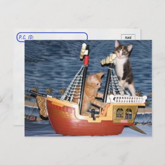 Postovertocht - Pirate Kittens - Cat / Kitten Briefkaart (Voorkant / Achterkant)