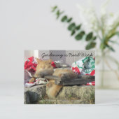 Postovertocht - Simba het Briefkaart van de kat in (Staand voorkant)