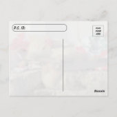 Postovertocht - Simba het Briefkaart van de kat in (Achterkant)