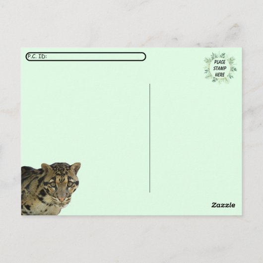 Postoverweg Pic of Clouded Leopard Cub Briefkaart (Achterkant)