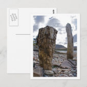 Posts patiné Net par Loch Kishorn Carte postale (Devant / Derrière)