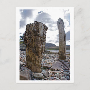 Posts patiné Net par Loch Kishorn Carte postale
