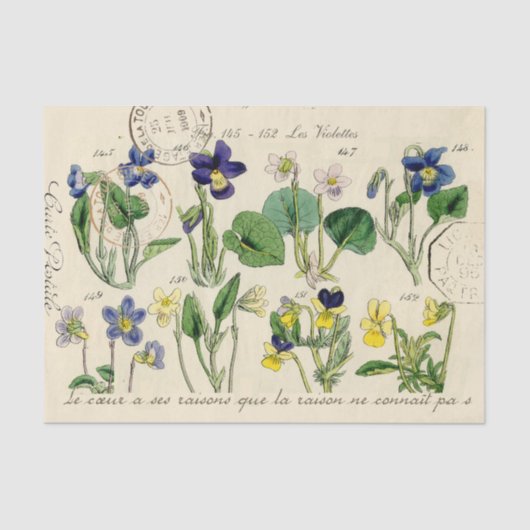 poststempel voor Viola Flowers, Frans Script Tissuepapier (Voorkant)