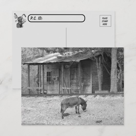 Posttransend Cabine en Donkey in B&W-Briefkaart Briefkaart (Voorkant / Achterkant)
