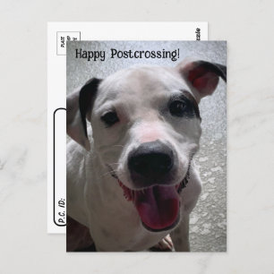 Posttransingsmajoor de Pit Bull-Briefkaart Briefkaart
