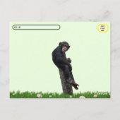 Posttransversale Pic van Chimpansee Briefkaart (Achterkant)