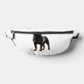 Posture puissante de Rottweiler - Chien corps enti (Poser)